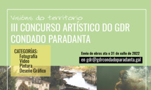 Le máis sobre o artigo Ampliación do prazo para participar no III Concurso Artístico do  Condado Paradanta