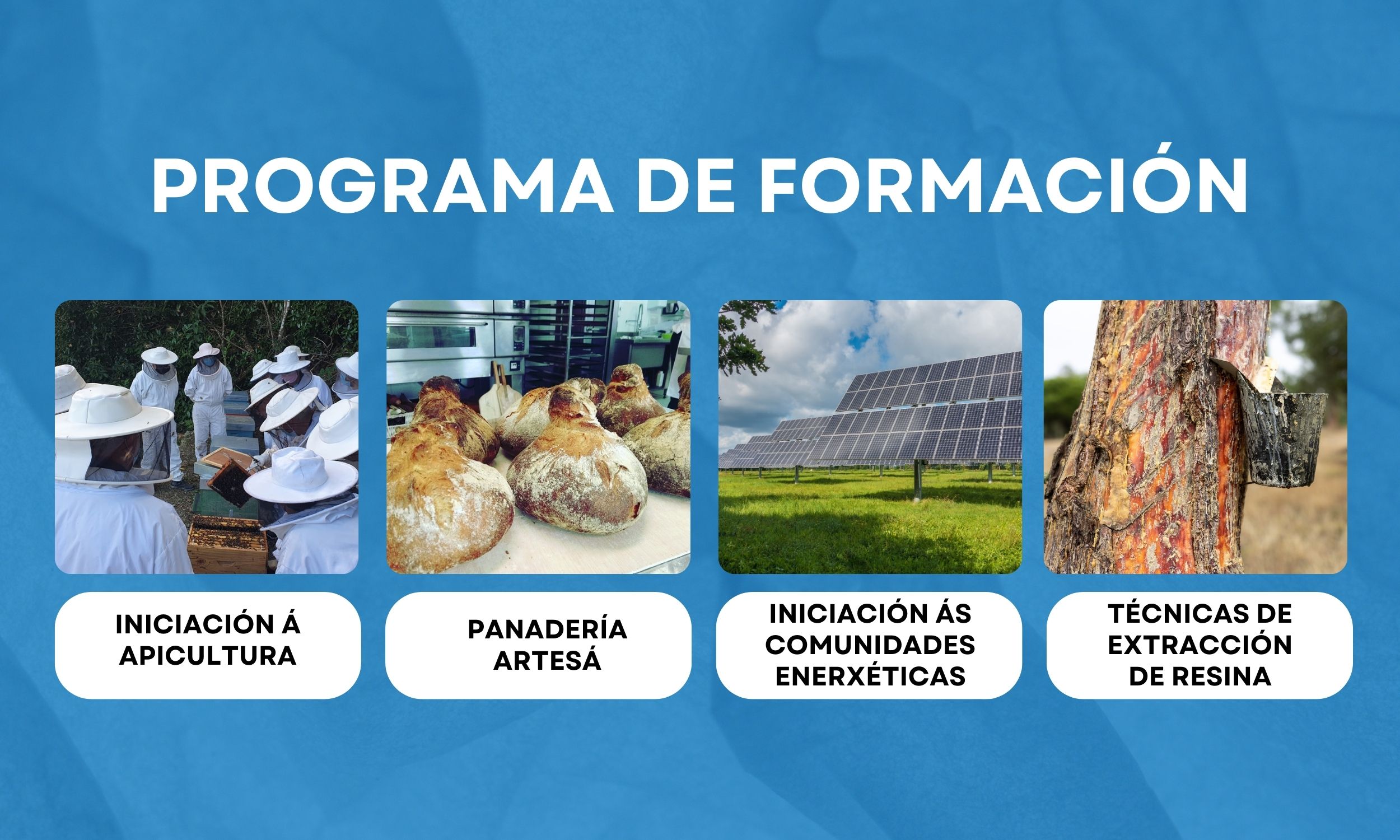 Neste momento estás a ver Programa de formación para promover o emprendemento verde no rural