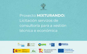 Le máis sobre o artigo Proxecto Mixturando: Licitación servizos de consultoría para a xestión técnica e económica