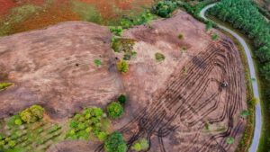 Recuperación cereal autóctono