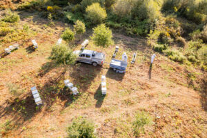 Instalación de apiario