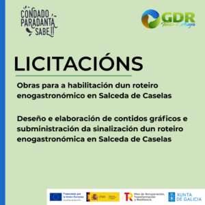 Le máis sobre o artigo PSTD: Licitación para a contratación de obras para a habilitación dun roteiro enogastronómico e contratación do deseño e elaboración de contidos gráficos e subministración da sinalización en Salceda de Caselas